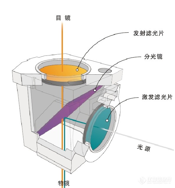 荧光显微镜常规光学元件应用图